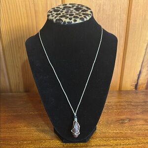 NWT Silver Teardrop Pendant Necklace